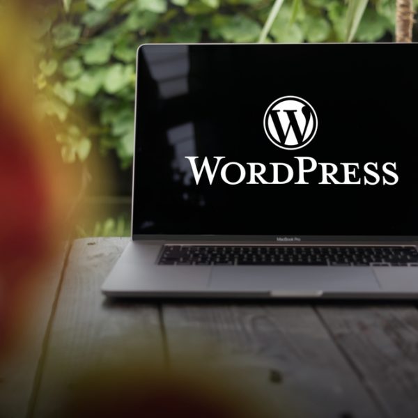 troubleshooting wordpress affiliate plugins